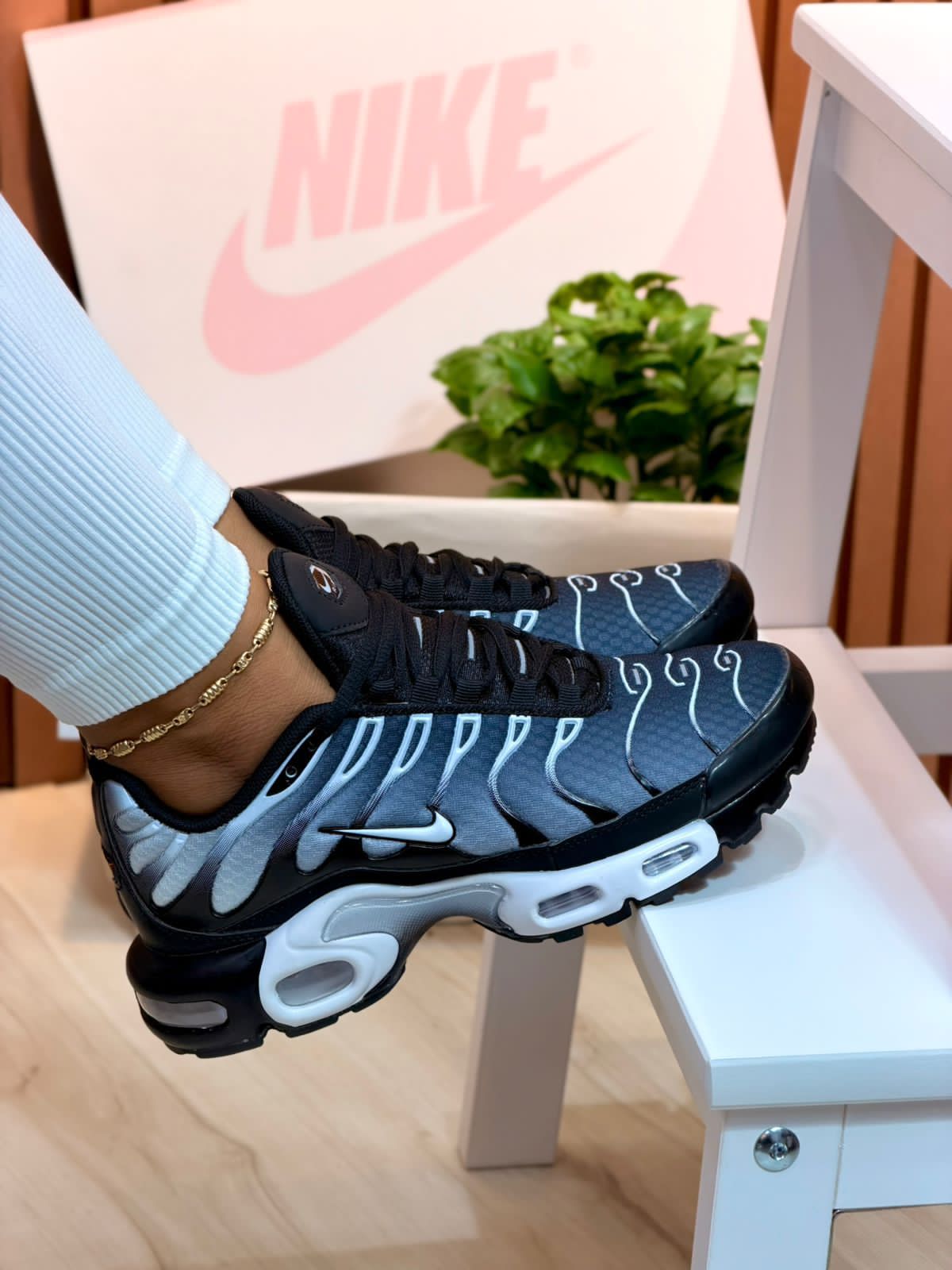 Nike Air Max TN Degrade